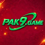 PAK9 Game apk